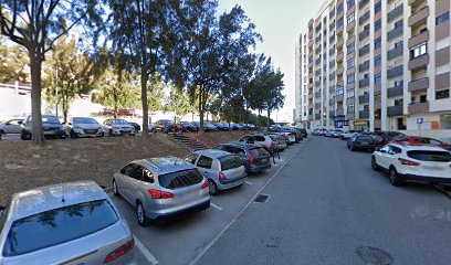 DGP - Soluções de Desinfestação