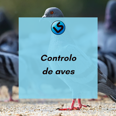 LS Desinfecções