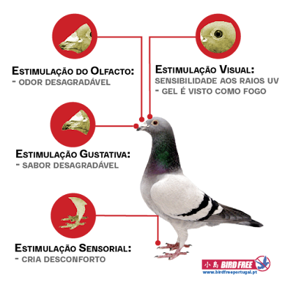 Gel Bird Free Portugal – Repelente Profissional contra Pombos