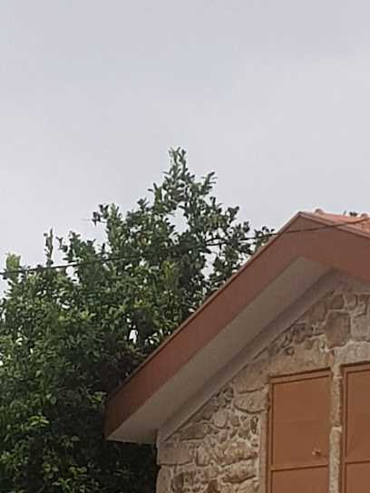 Enxame d'Abelhas