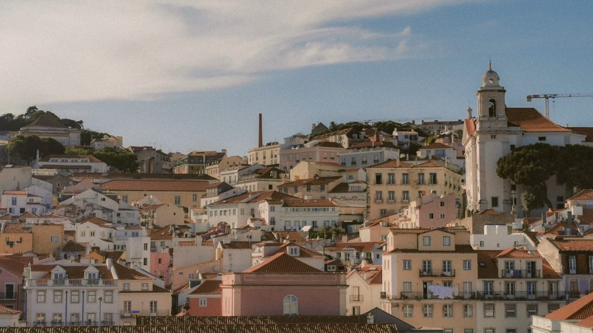 Quanto Custa Desratização em Lisboa