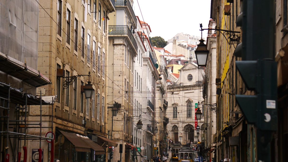 Desratização em Lisboa: Guia Completo e Preços