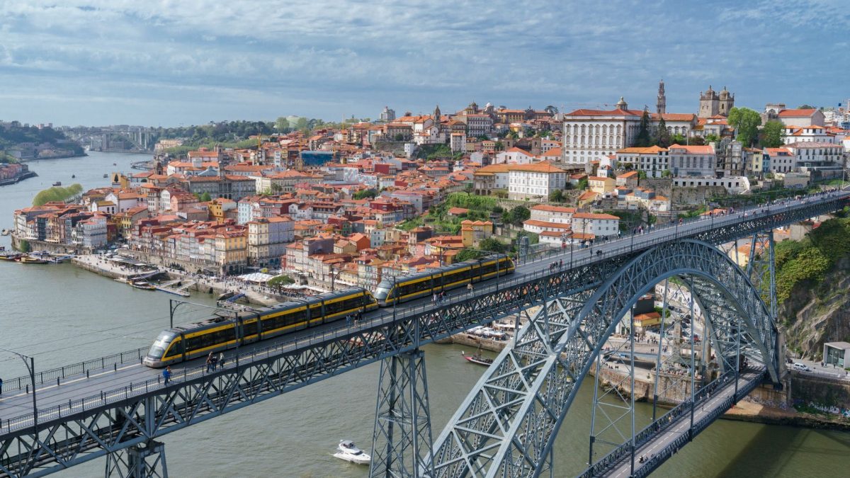 Controlo de Pragas no Porto: O Que Precisa de Saber