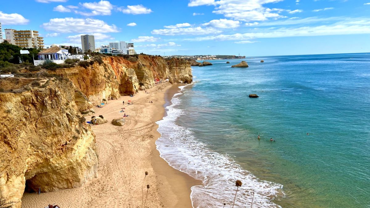 Desinfestação no Algarve: Pragas Mais Comuns