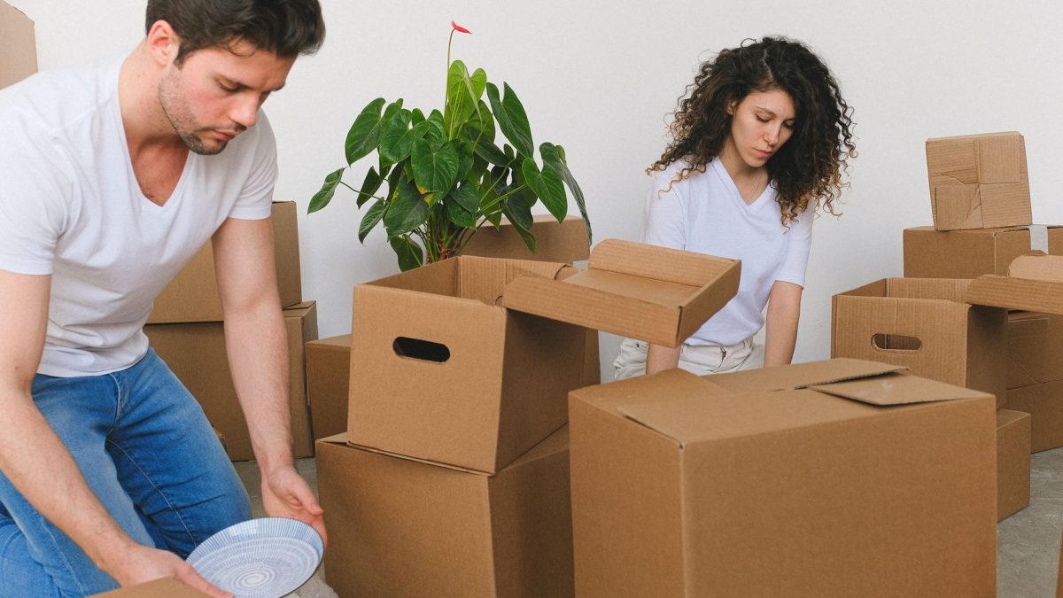 Como Evitar Pragas na Mudança de Casa