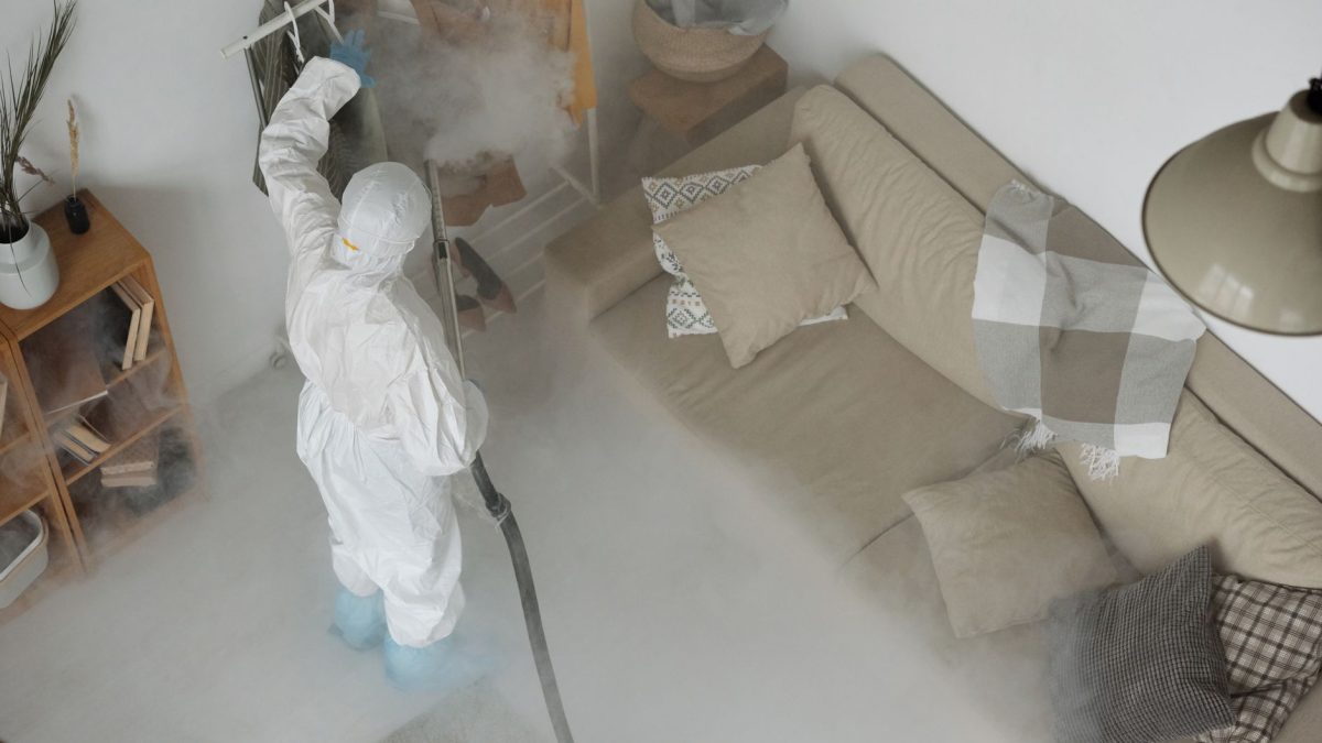 Como Prevenir Pragas em Casa
