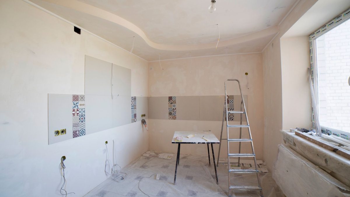 Pragas Após Obras e Renovações: Guia de Prevenção