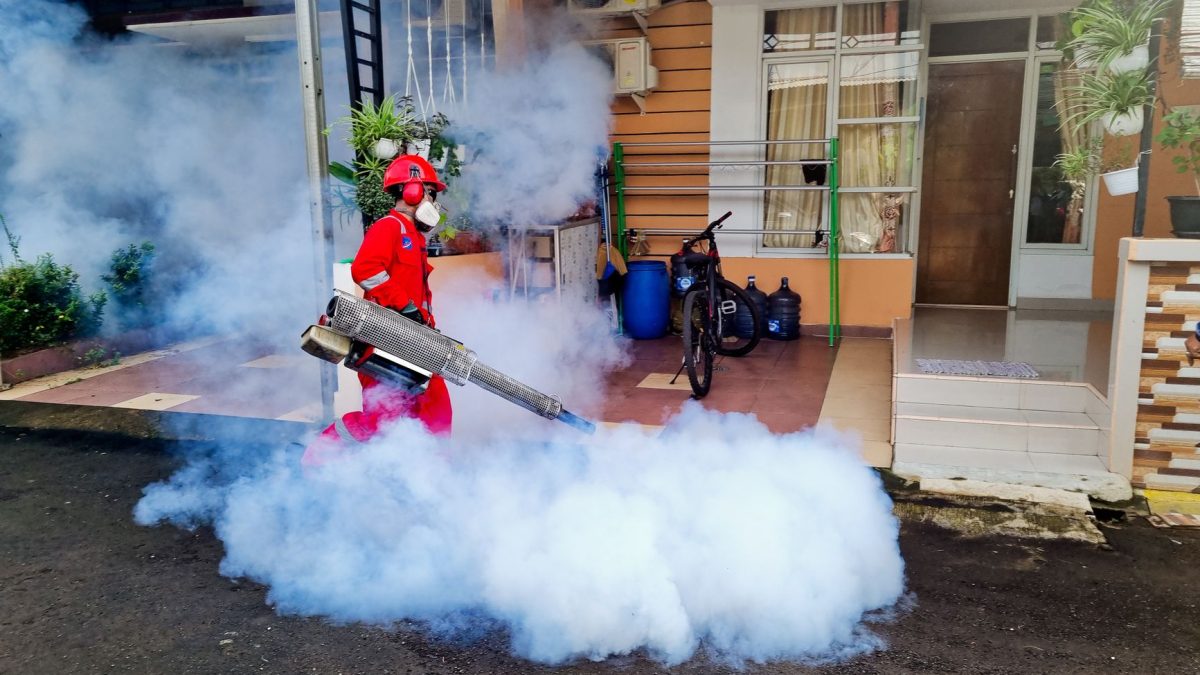 Como Escolher uma Empresa de Desinfestação